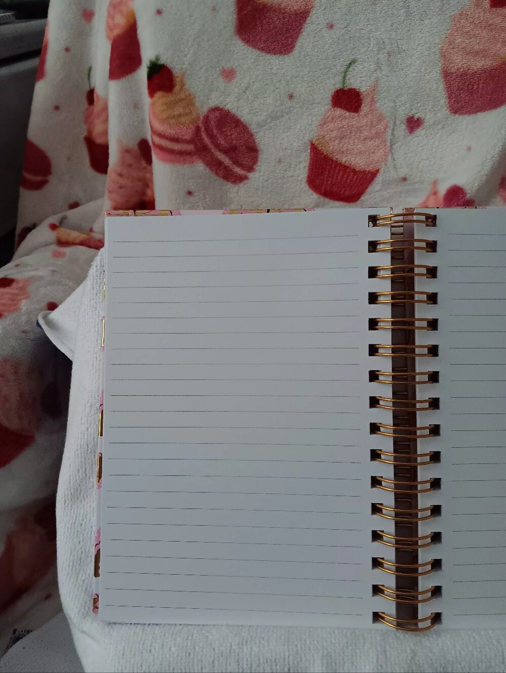 Butterfly Journal - Picture 5 of 9